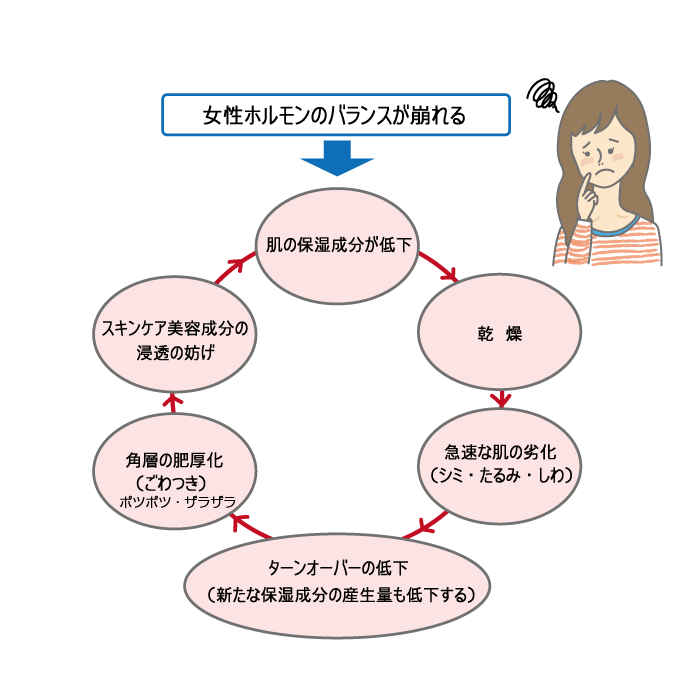 年齢肌・更年期とお肌の関係