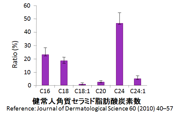 角質セラミドと天然ヒト型セラミドの長さ比較1