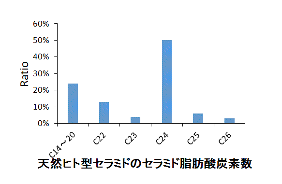 角質セラミドと天然ヒト型セラミドの長さ比較2