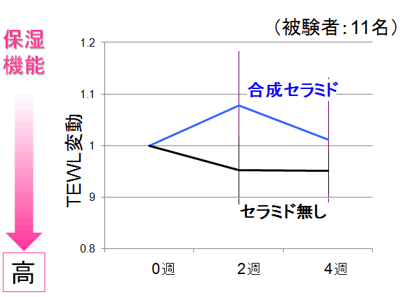 天然ヒト型セラミドのバリア機能・保湿機能改善効果2